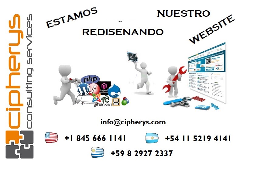 Cipherys Consulting Services